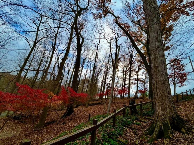 505 Natchez Lane, Sugar Grove, OH 43155 Photo 40