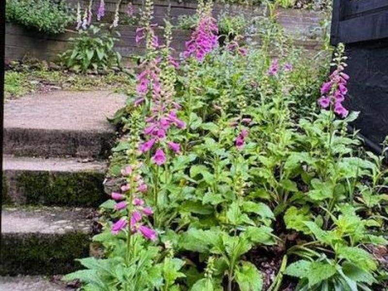 505 Natchez Lane, Sugar Grove, OH 43155 Photo 42