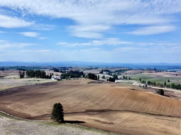 TBD Settlement Rd, Lenore, ID 83541