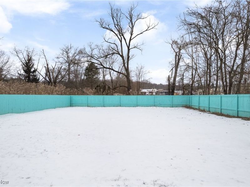 3462 Dollar Drive, Coventry, OH 44319 Photo 21