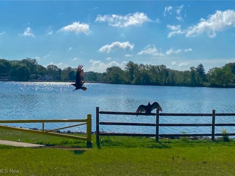 3462 Dollar Drive, Coventry, OH 44319 Photo 3