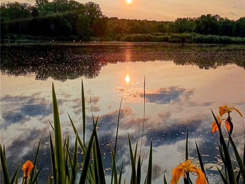 3462 Dollar Drive, Coventry, OH 44319 Photo 4