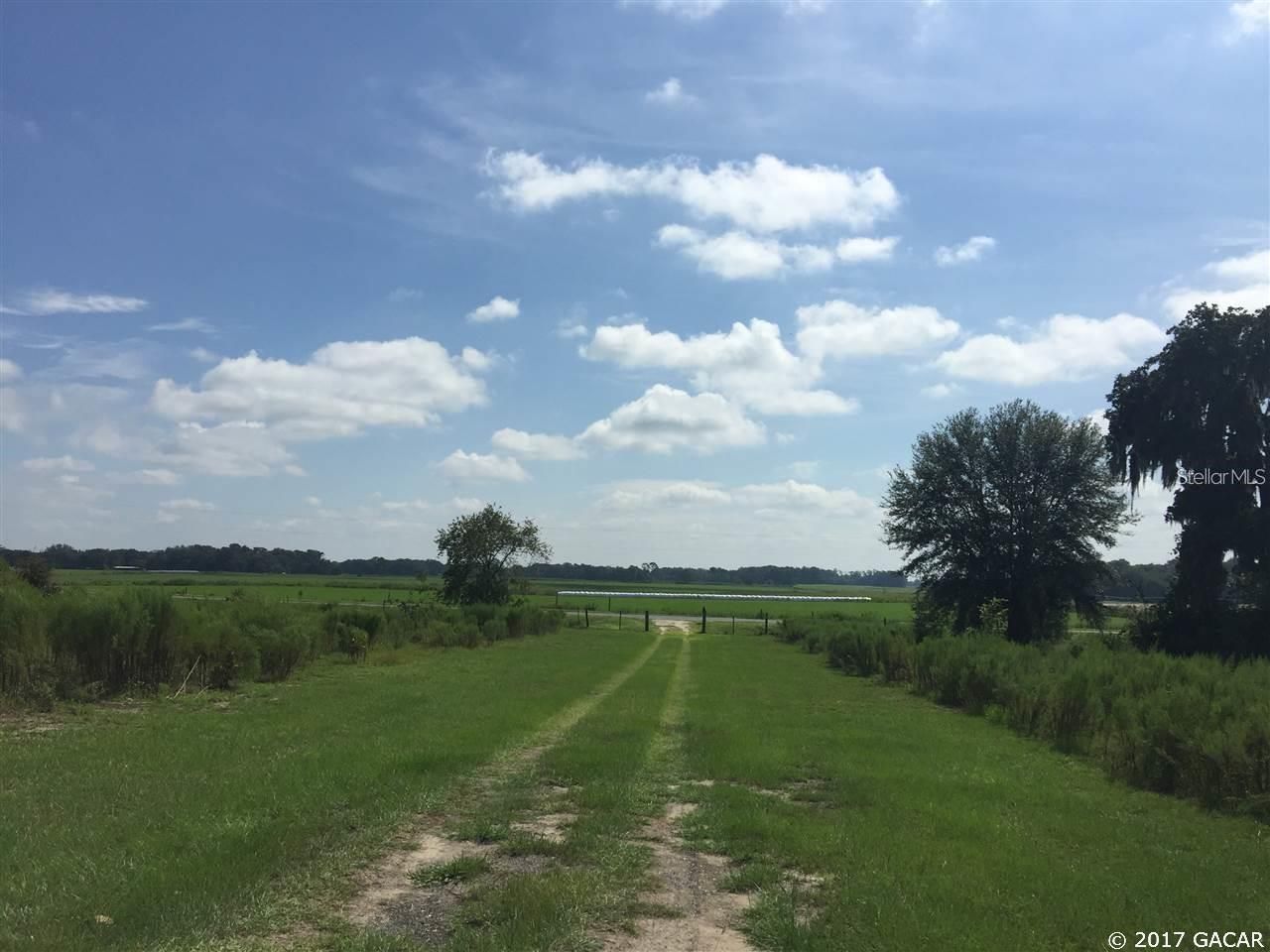 7880 NE 15 Street, Trenton, FL 32693 Photo