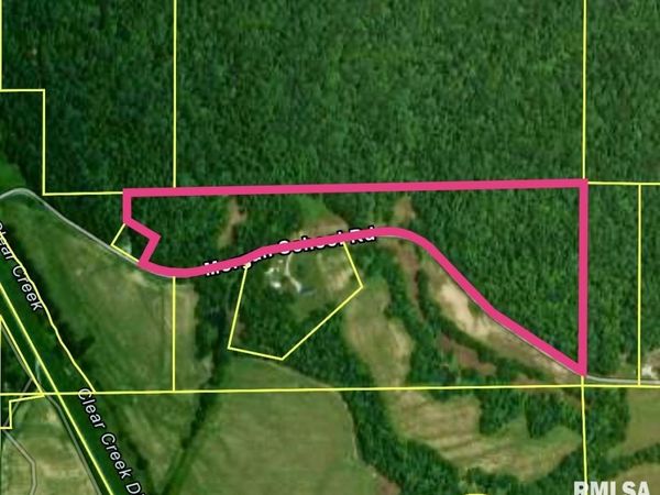 Morgan School Road, Jonesboro, IL 62952