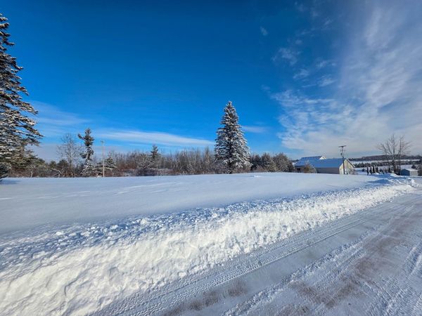 Lot 16 V/L Old Orchard Lane, Cheboygan, MI 49721