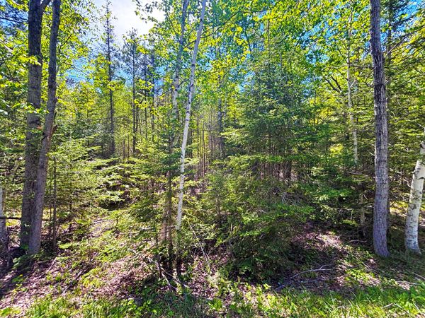 Lot 118 Timberway Drive, Presque Isle, MI 49777