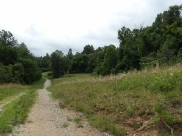 51.30ac Livingston Hwy , Byrdstown, TN 38549