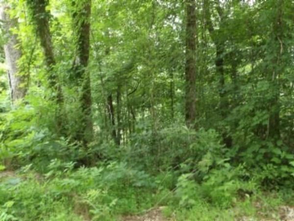 51.30ac Livingston Hwy, Byrdstown, TN 38549