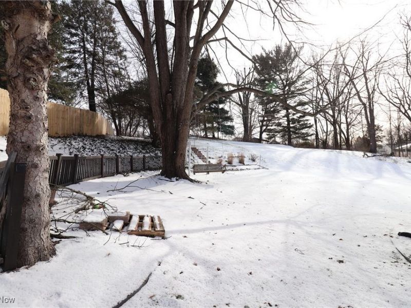 132 E Sunset Drive, Rittman, OH 44270 Photo 31