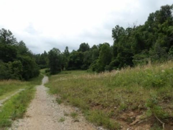 51.30ac Livingston Hwy, Byrdstown, TN 38549