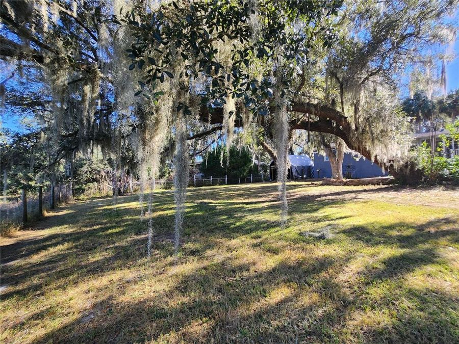 Property Image 59