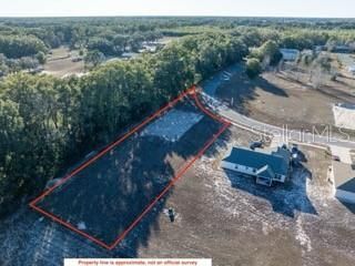 1772 N Roberts Trail, Bell, FL 32619 Photo