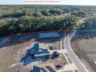 1772 N Roberts Trail, Bell, FL 32619 Photo