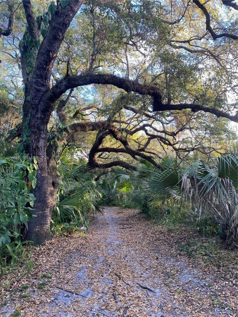 2080 SW 90th Ave, Unit C-13, Davie, FL 33324 Photo