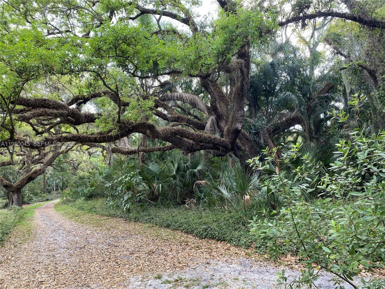 2080 SW 90th Ave, Unit C-13, Davie, FL 33324 Photo