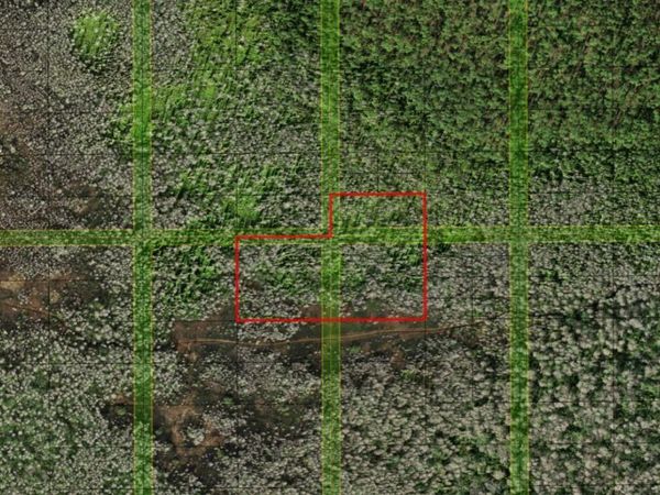 0 HOLOPAW GROVES RD, St. Cloud, FL 34772