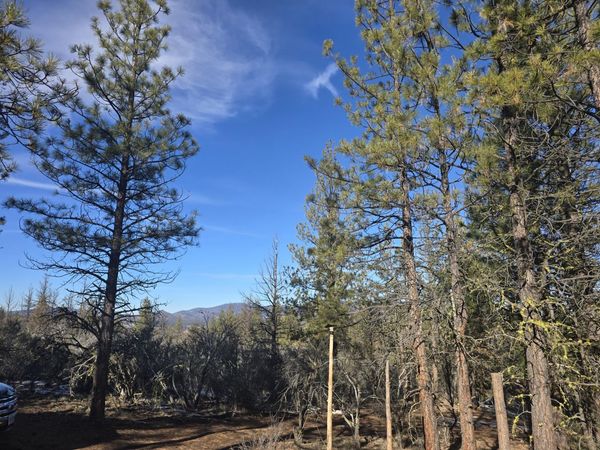 0 Partin Way, Unit 5, Beatty, OR 97621