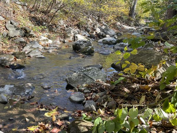 0 Hunting Creek RD , Big Island, VA 24526