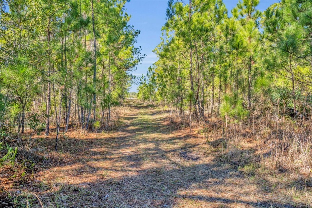 925 & 975 Keelhaul Road, Osteen, FL 32764 Photo