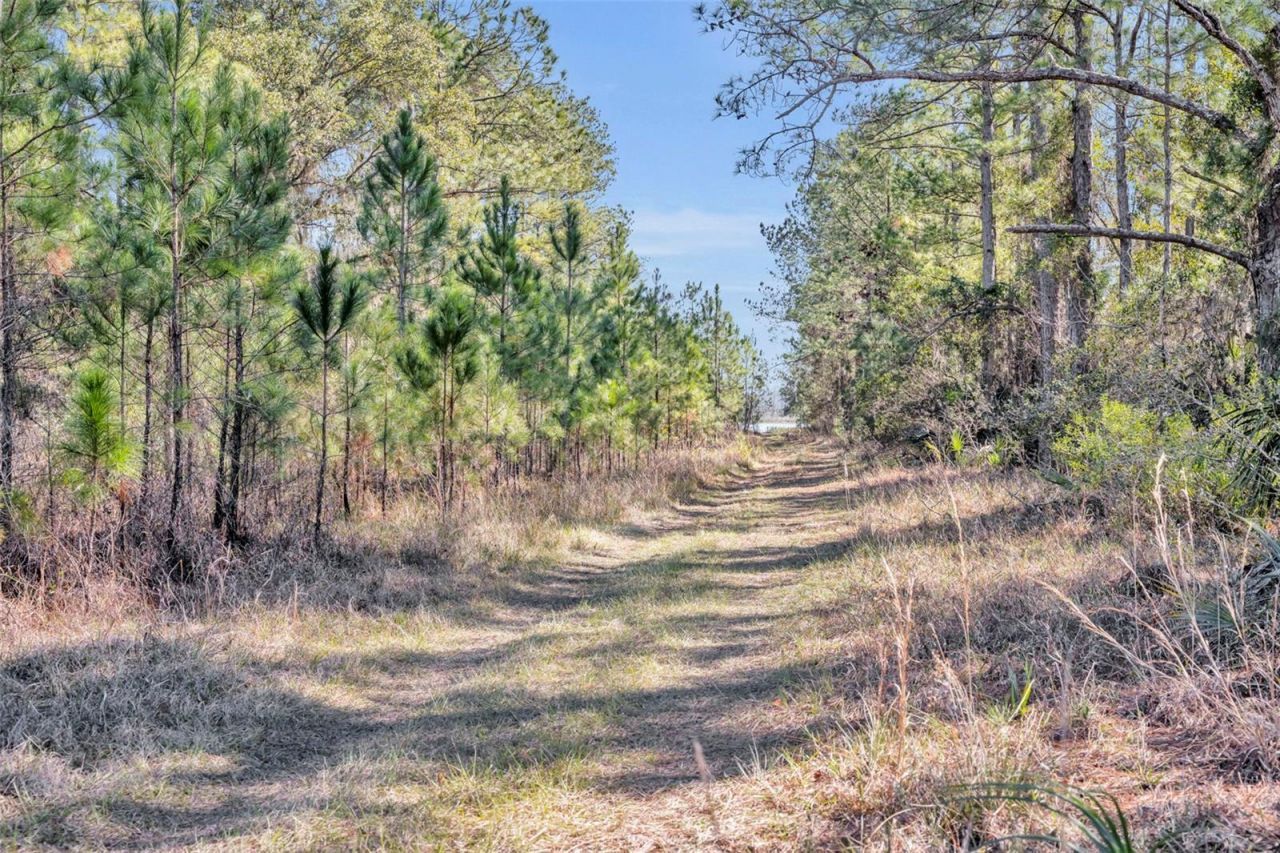 925 & 975 Keelhaul Road, Osteen, FL 32764 Photo