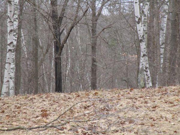 000 Camp Road, Weyerhaeuser, WI 54895