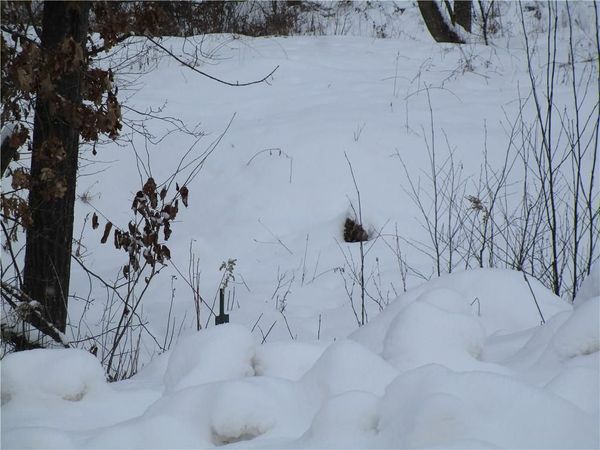 000 Camp Road, Weyerhaeuser, WI 54895