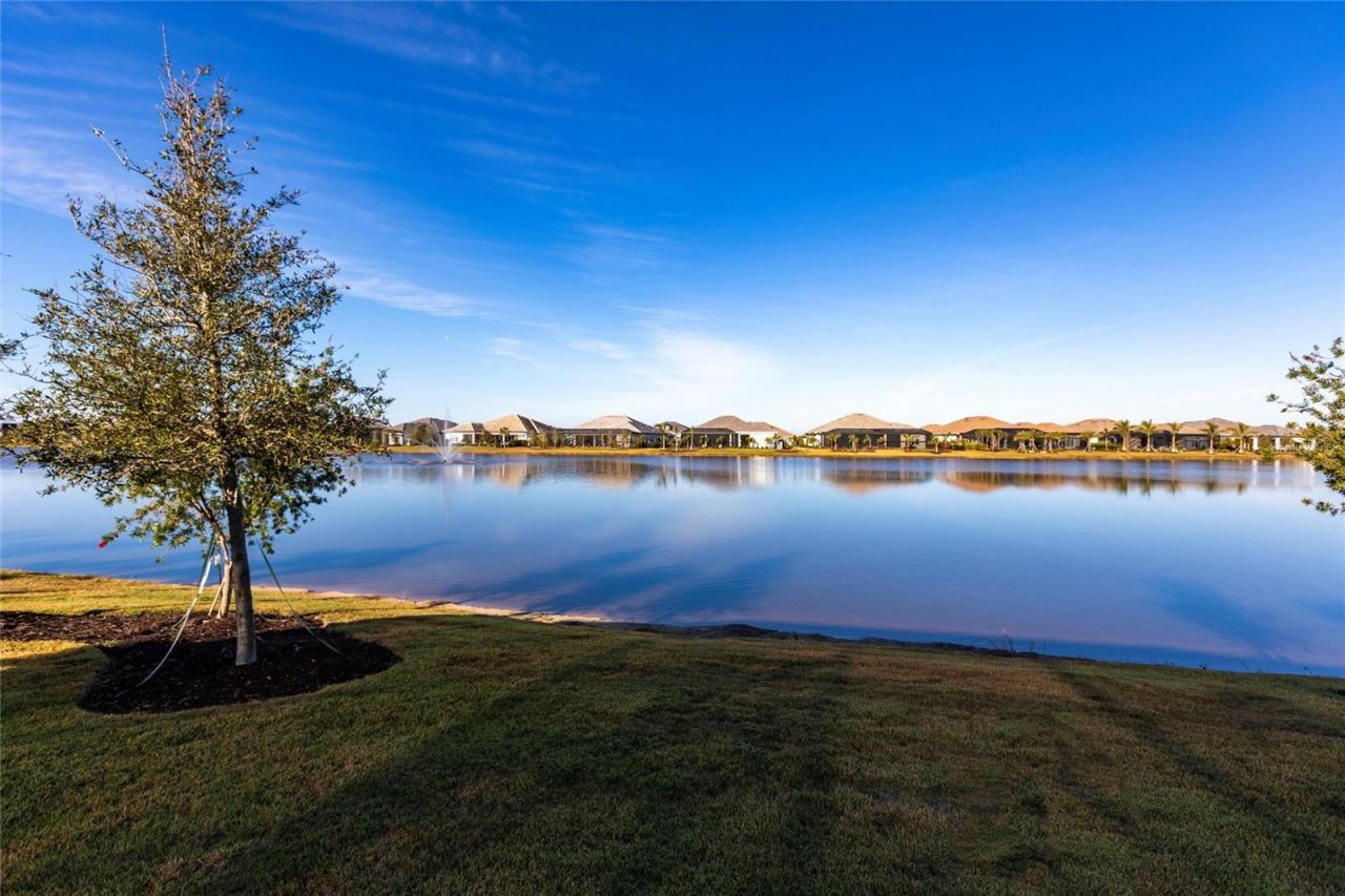 8497 Pavia Way, Bradenton, FL 34202 Photo