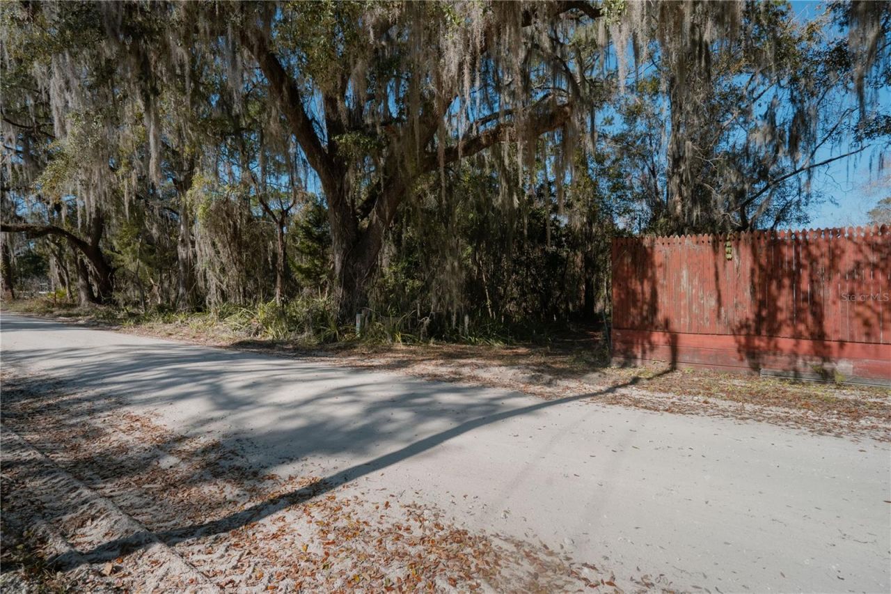 16970 NE 120th Avenue, Waldo, FL 32694 Photo