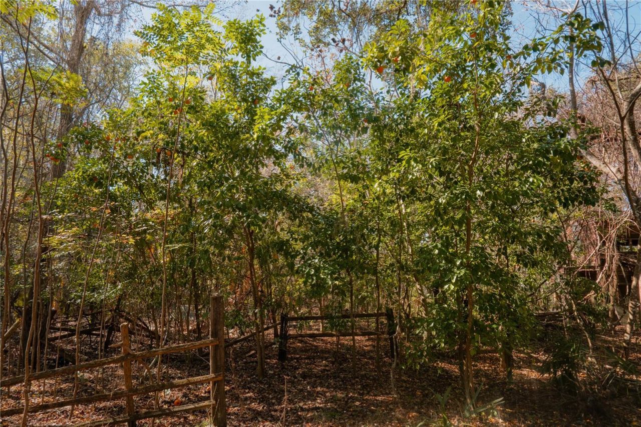 16970 NE 120th Avenue, Waldo, FL 32694 Photo