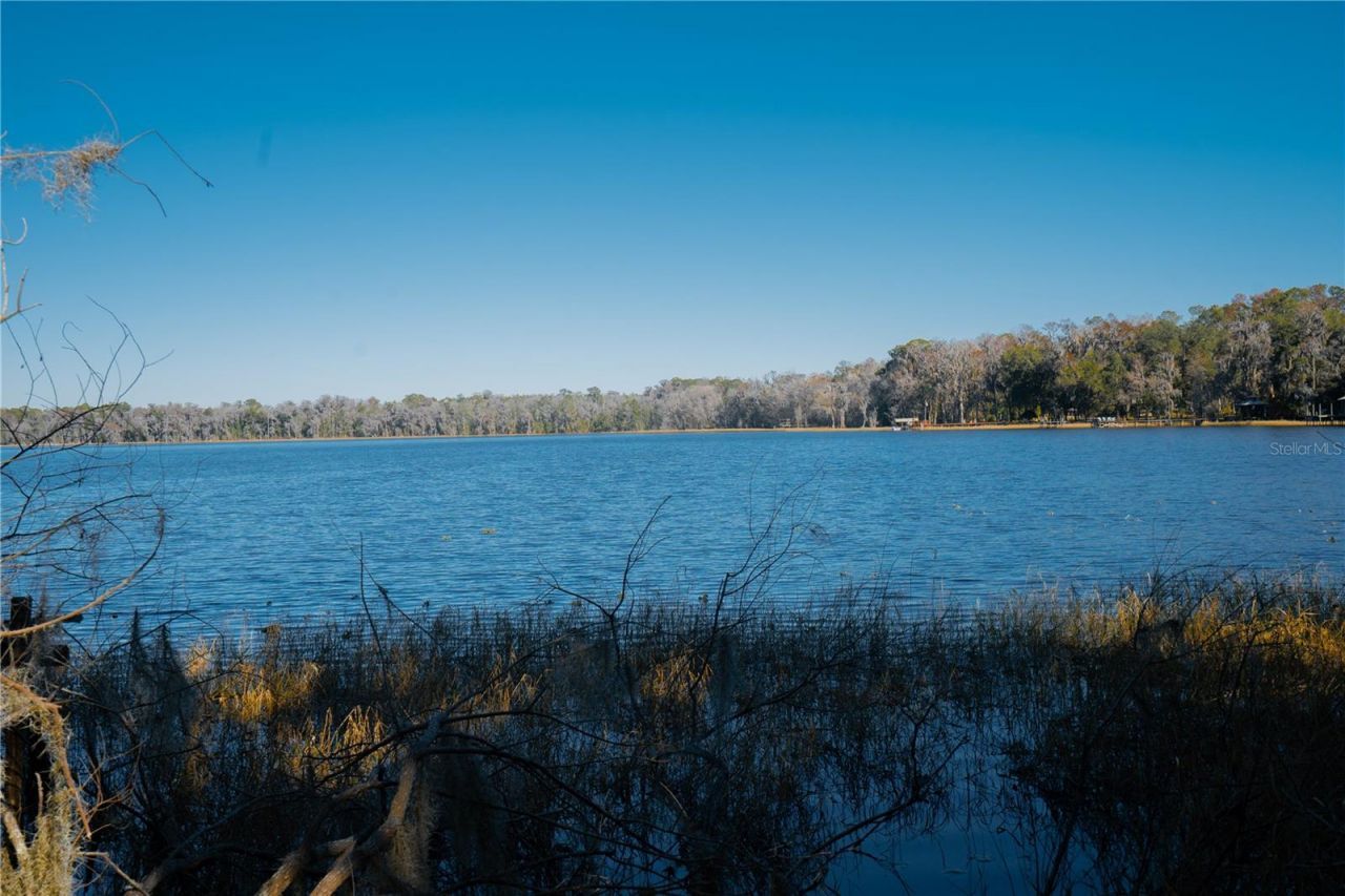 16970 NE 120th Avenue, Waldo, FL 32694 Photo