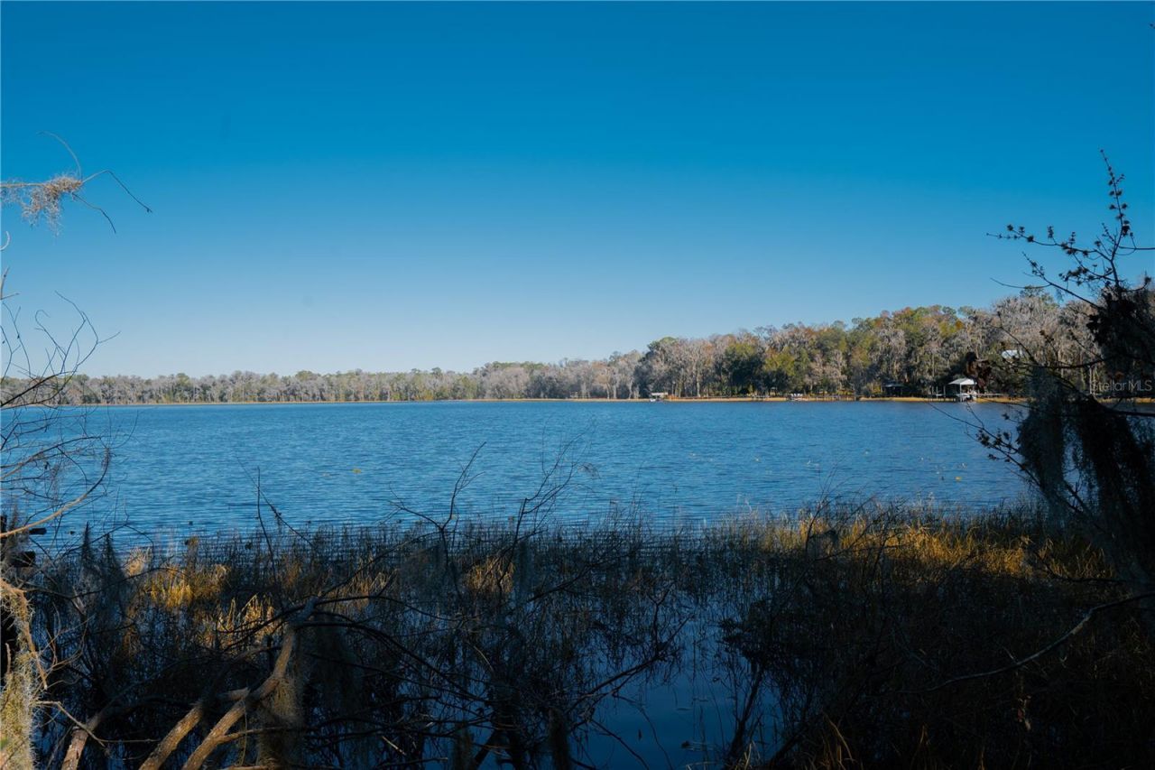 16970 NE 120th Avenue, Waldo, FL 32694 Photo