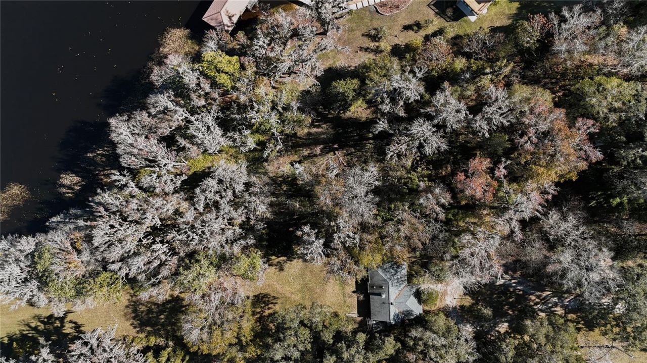 16970 NE 120th Avenue, Waldo, FL 32694 Photo