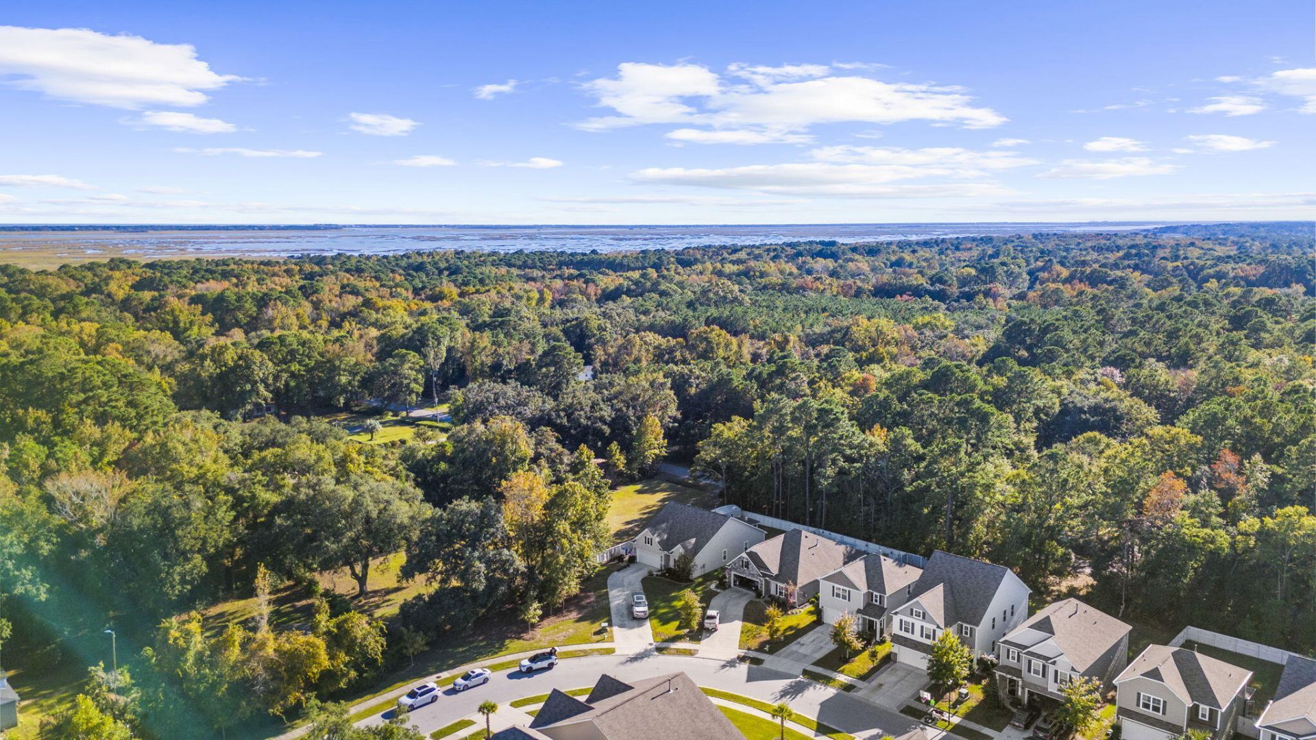 1035 Sago Palm Court Photo 39