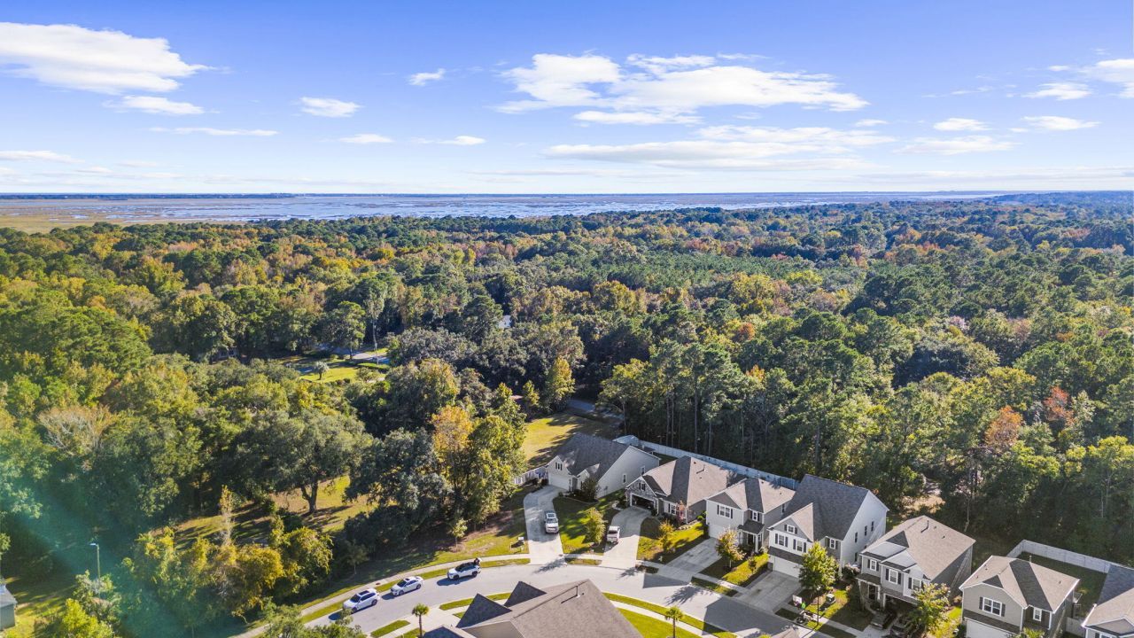 1035 Sago Palm Court Photo 41