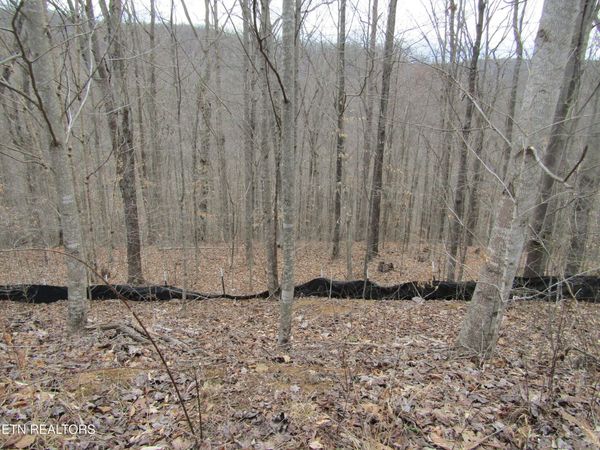 Lot 60 W Bobcat Lane , Wilder, TN 38589