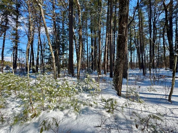 TBD Swans Falls Road, Unit Lot A, Fryeburg, ME 04037