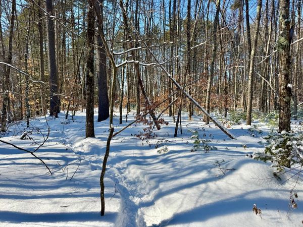 TBD Swans Falls Road, Unit Lot B, Fryeburg, ME 04037