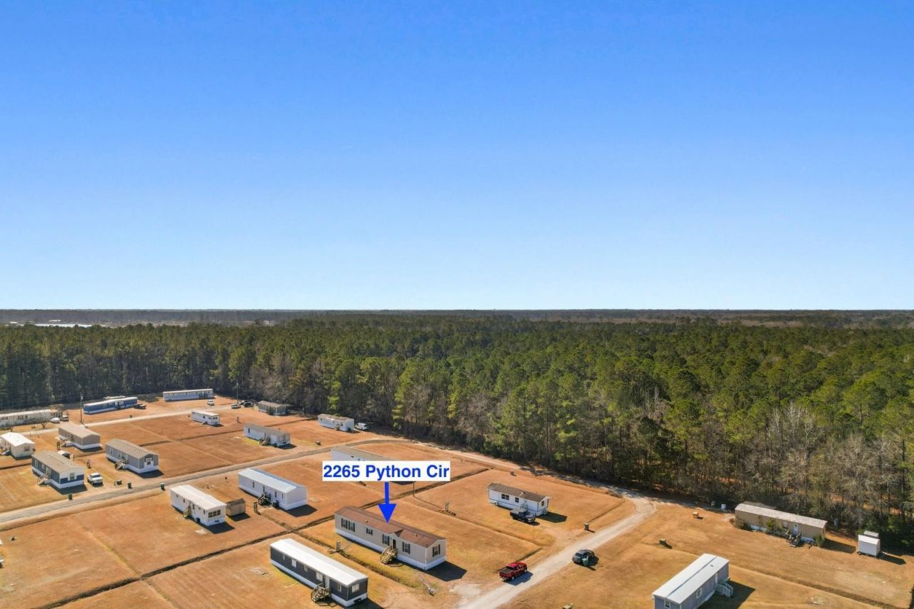 2265 Python Circle Photo 29