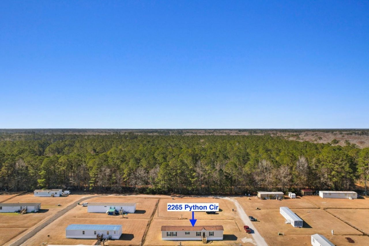2265 Python Circle Photo 30