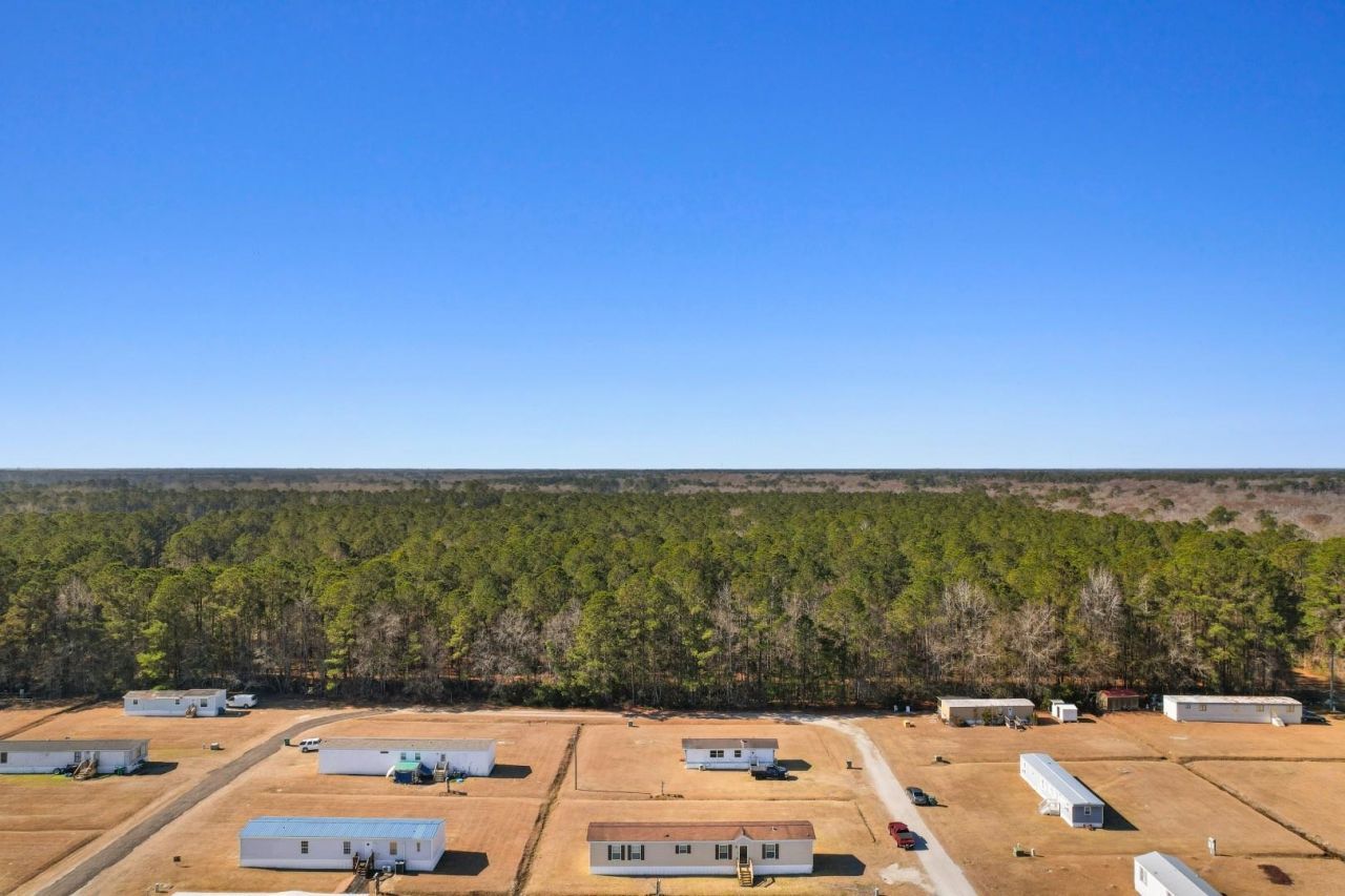 2265 Python Circle Photo 31