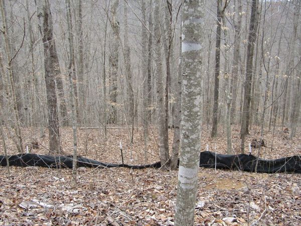 0 Bobcat Lane , Wilder, TN 38589