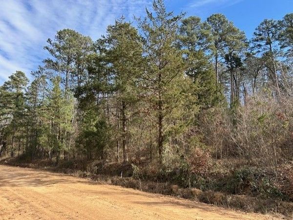 Moss Creek Road , Danville, AR 72833
