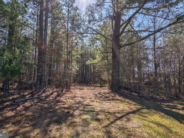202 Kent Rock Road, Unit TRACT 4, Loganville, GA 30052