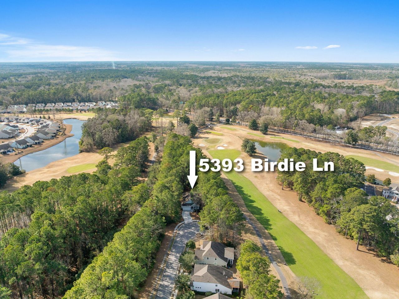 5393 Birdie Lane Photo 25