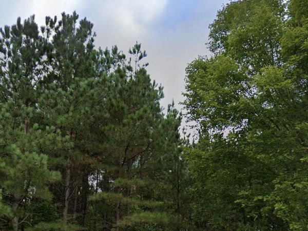 5300 Purvis Place, Nesbit, MS 38651