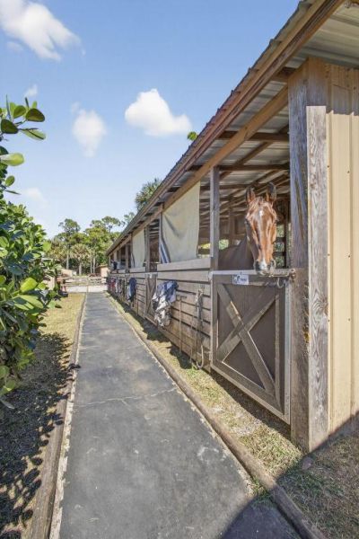 2910 Doe Trail, Loxahatchee, FL 33470 Photo