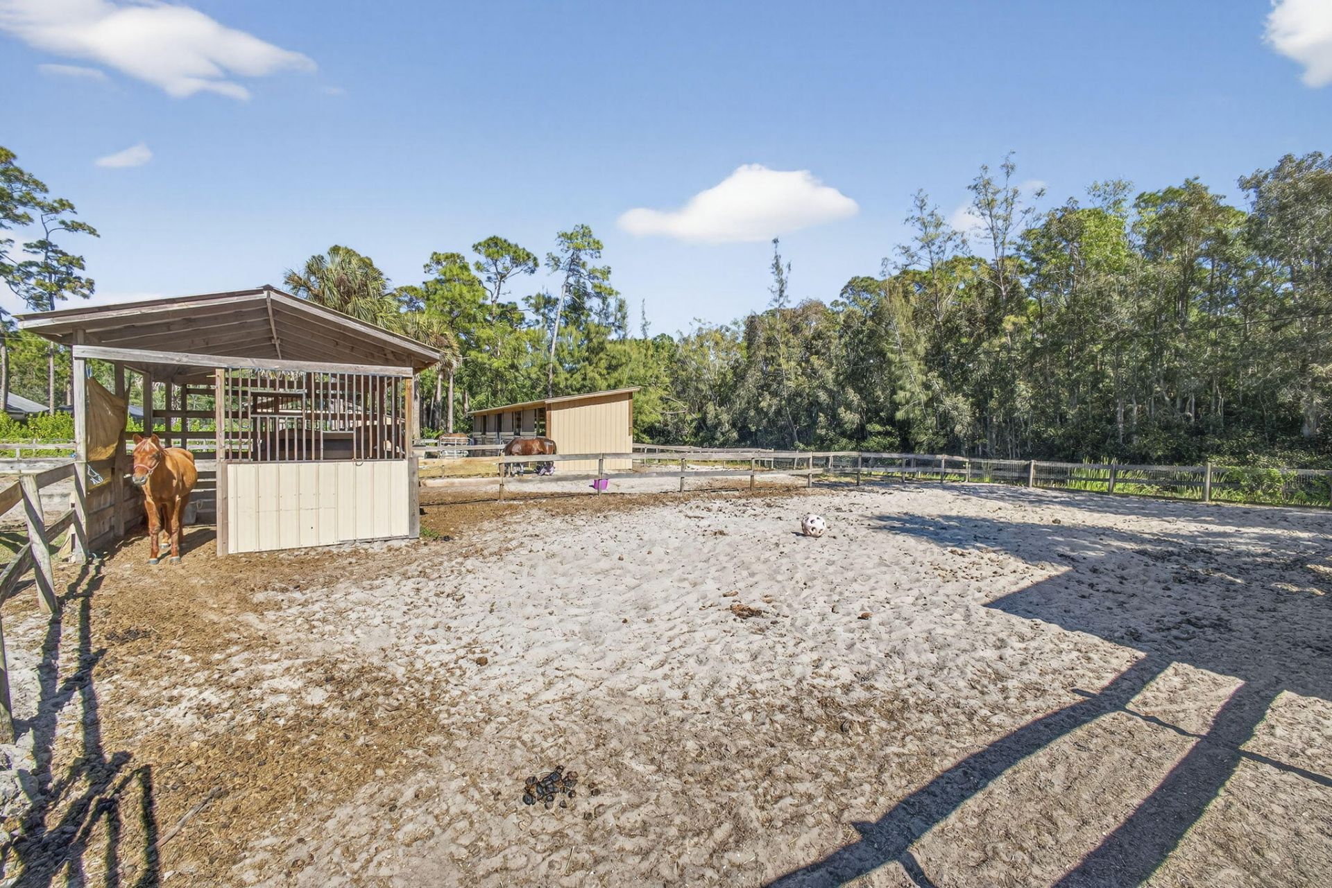 2910 Doe Trail, Loxahatchee, FL 33470 Photo