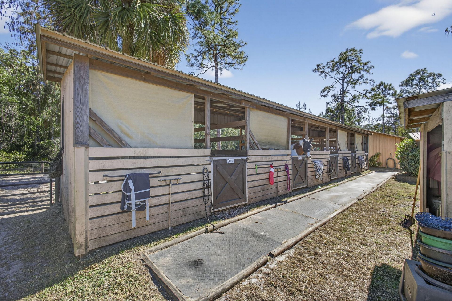 2910 Doe Trail, Loxahatchee, FL 33470 Photo