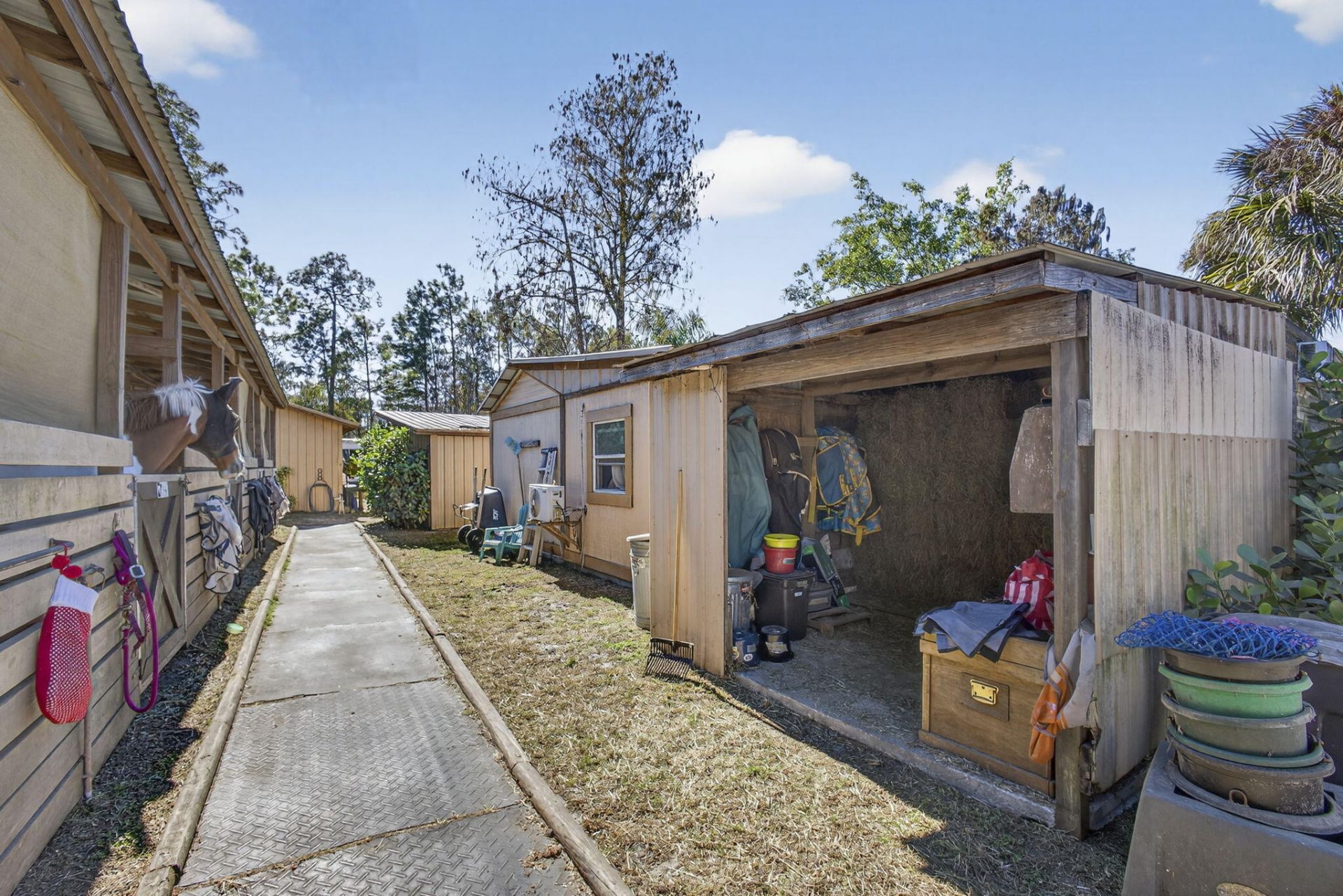 2910 Doe Trail, Loxahatchee, FL 33470 Photo