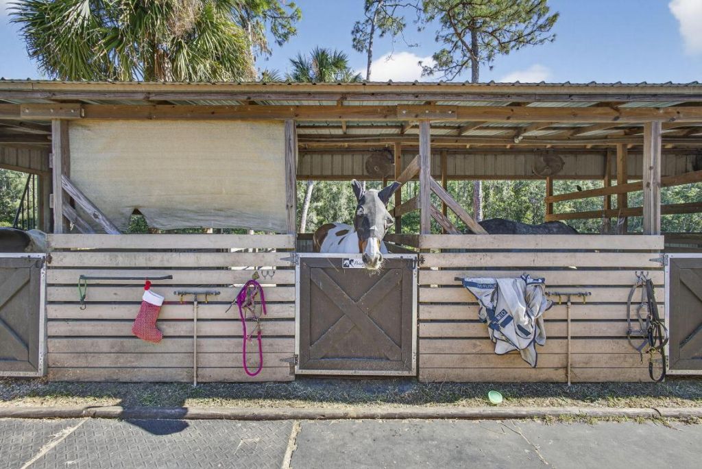 2910 Doe Trail, Loxahatchee, FL 33470 Photo